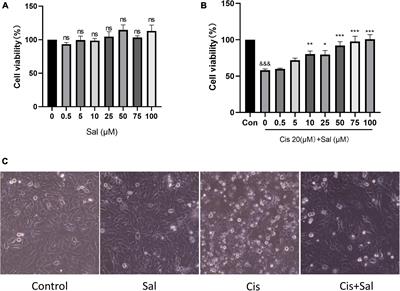 Salubrinal Protects Against Cisplatin-Induced Cochlear Hair Cell Endoplasmic Reticulum Stress by Regulating Eukaryotic Translation Initiation Factor 2α Signalling